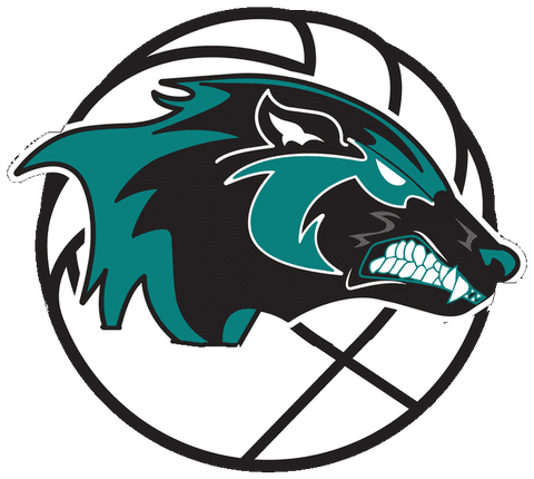 ANHS Wolverine Volleyball logo